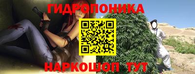 стафф Будённовск