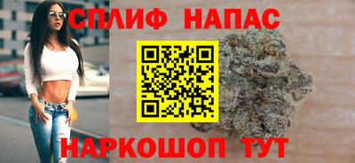 стафф Будённовск