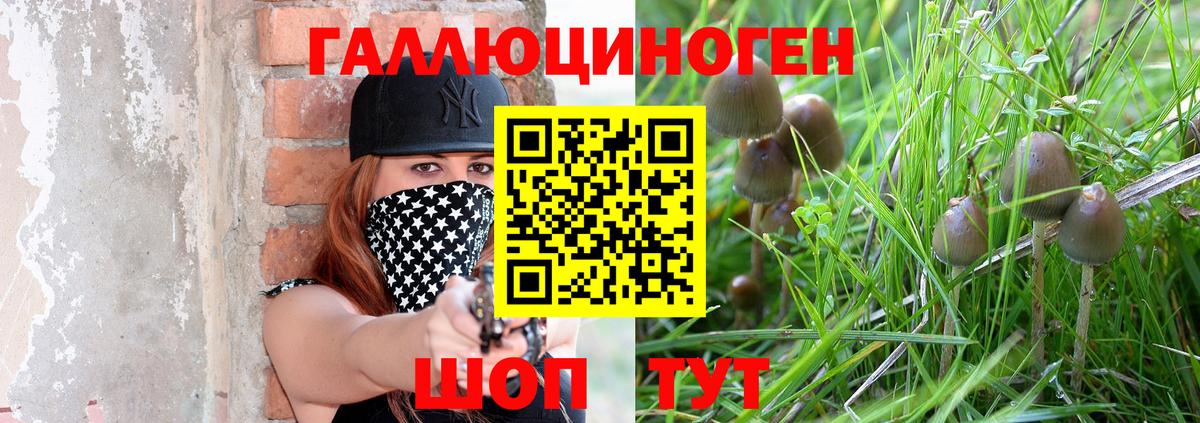 Галлюциногенные грибы MAGIC MUSHROOMS Краснознаменск