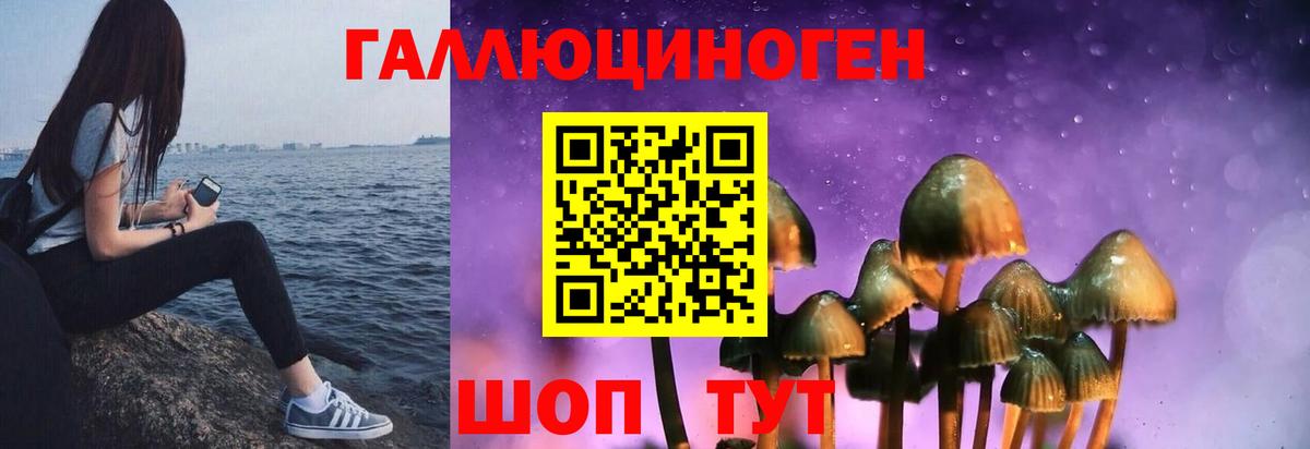 Краснознаменск  Псилоцибиновые грибы GOLDEN TEACHER  Вход с VPN 